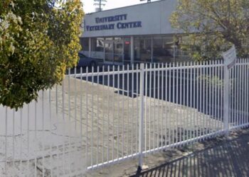 Woman accused of throwing malnourished poodle over 8-foot fence of vet clinic