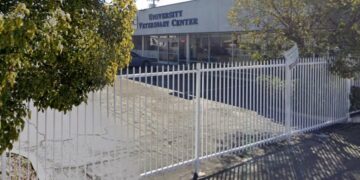 Woman accused of throwing malnourished poodle over 8-foot fence of vet clinic