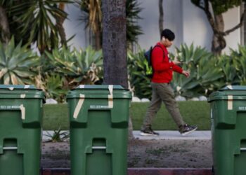 Green bins clog L.A. curbs as city’s organic waste program goes into overdrive