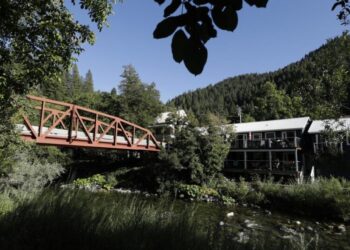 A California man vanished from his mountain town. Did a bear get him?