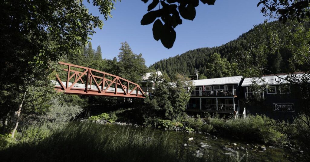 A California man vanished from his mountain town. Did a bear get him?