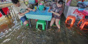 A flooded restaurant in Thailand brings delight with swimming fish among diners