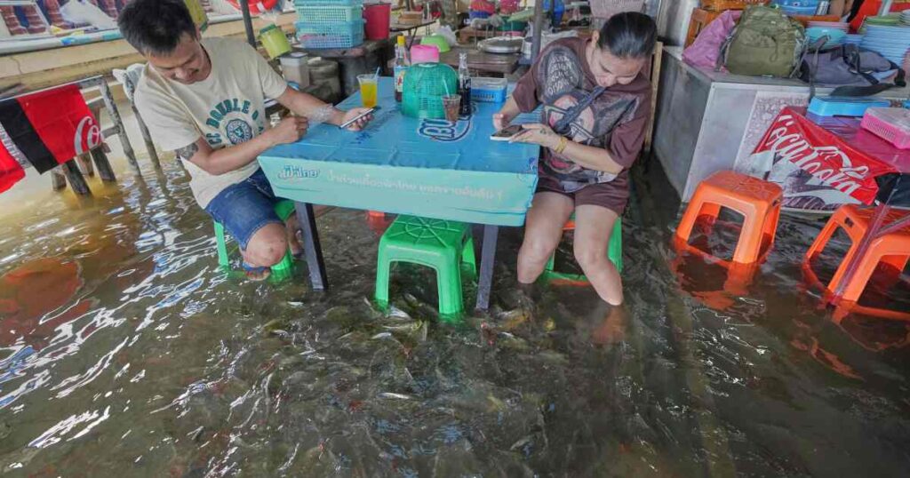 A flooded restaurant in Thailand brings delight with swimming fish among diners