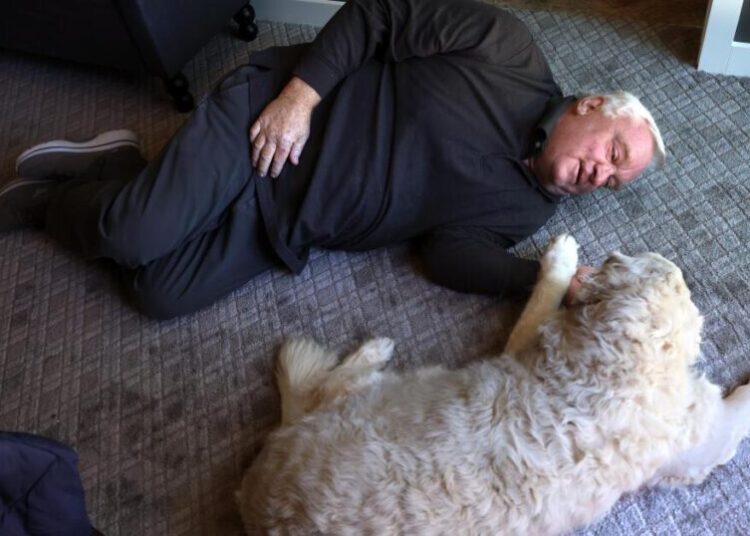 Up from the ashes: How fire survivors rebuilt in time to get home for Thanksgiving