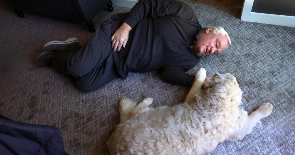 Up from the ashes: How fire survivors rebuilt in time to get home for Thanksgiving