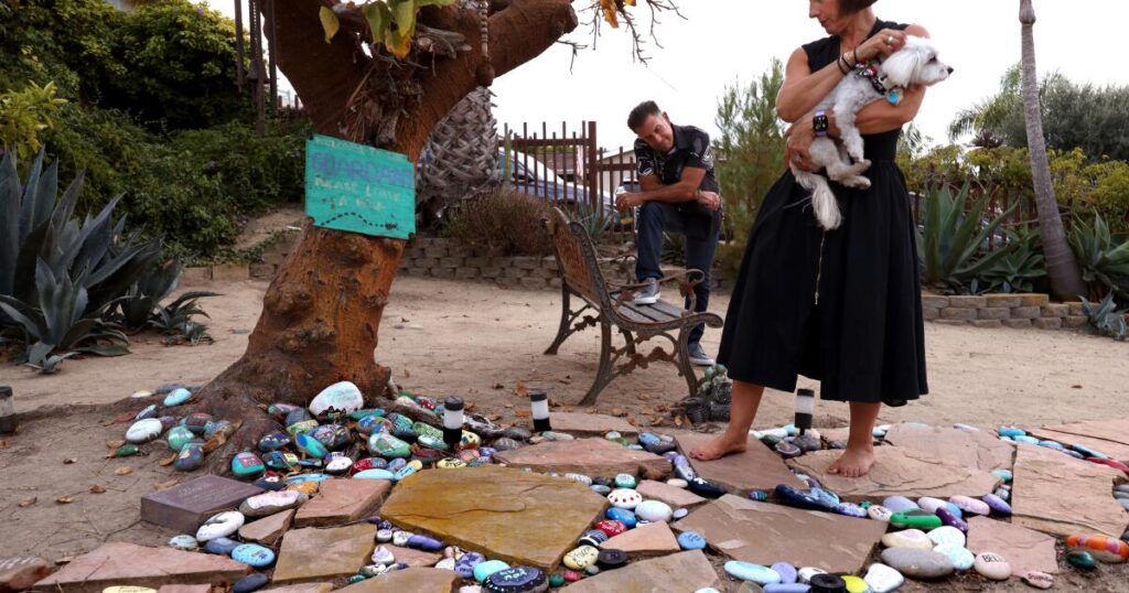 Autistic kids are at higher risk of suicide. Why don’t their parents and doctors know?