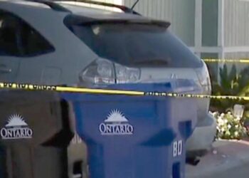 Man shot in back by ICE pleads not guilty to assault charges