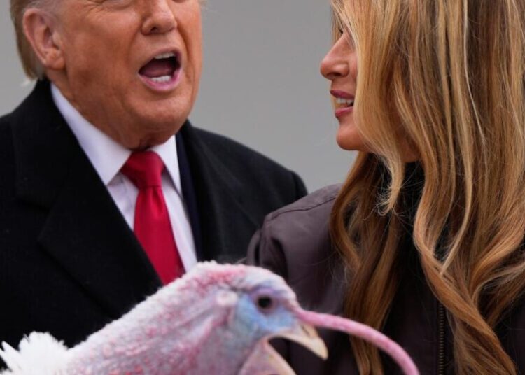 Trump spares turkeys — but not his political opponents — at annual pardoning ceremony