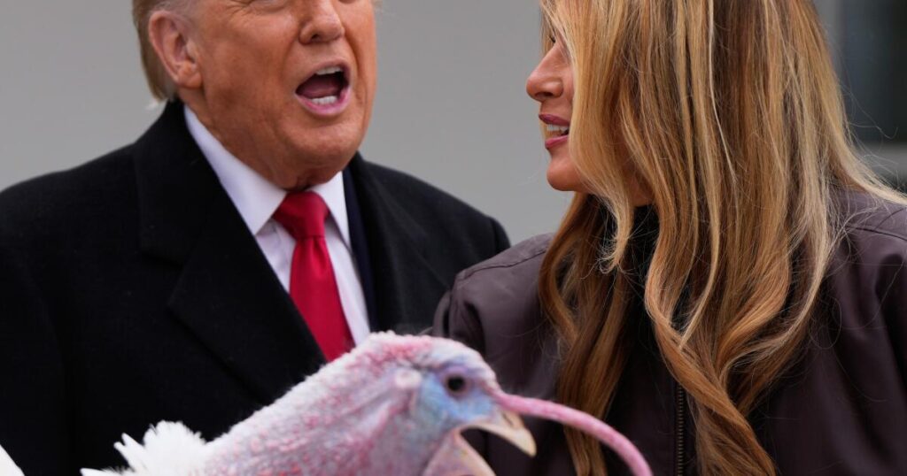 Trump spares turkeys — but not his political opponents — at annual pardoning ceremony