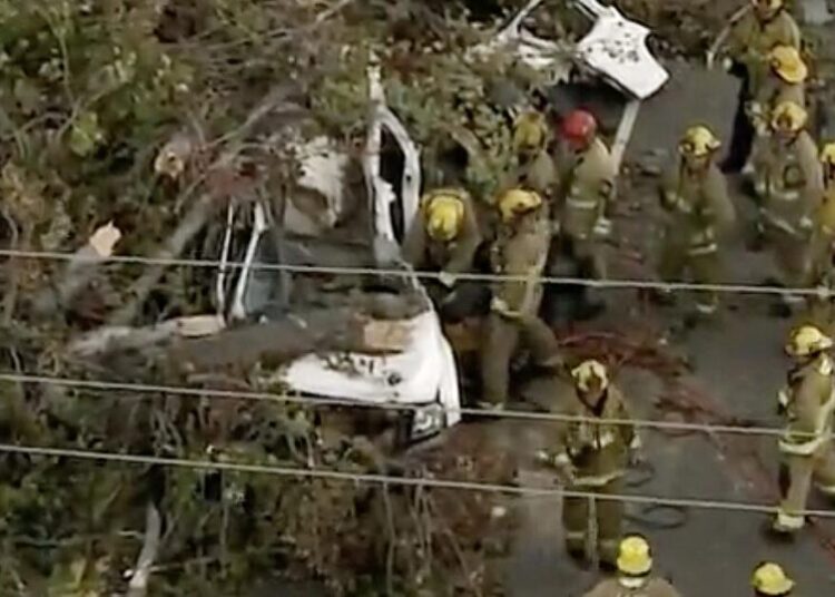 One killed, cars crushed as Santa Ana winds knock down tree in L.A.