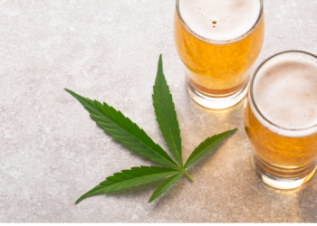 Getting High Makes You Drink Less? Science Says Yes