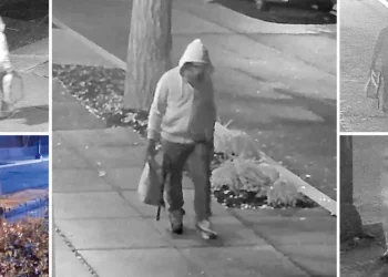 ‘She’s one of us!’ Steve Baker stuns Glenn Beck with bombshell revelation about J6 pipe-bomb suspect