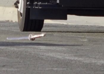 ‘Vampire’ daughter-in-law who killed spouse with sword sentenced for murder