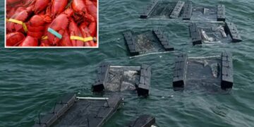 $400K worth of stolen Costco lobster meat being investigated in connection to other New England seafood thefts