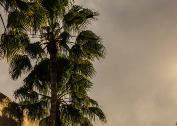 Why Sears’s Last Great Hope Was a Promise That Never Materialized