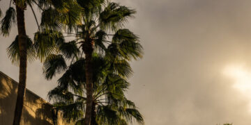 Why Sears’s Last Great Hope Was a Promise That Never Materialized