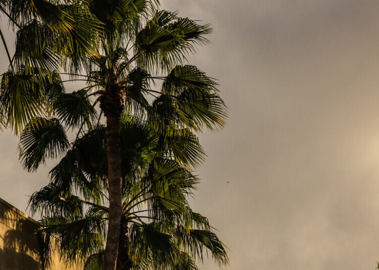 Why Sears’s Last Great Hope Was a Promise That Never Materialized