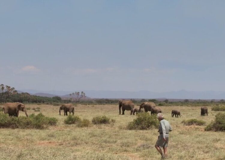 Iain Douglas-Hamilton, Elephant Expert and Protector, Dies
