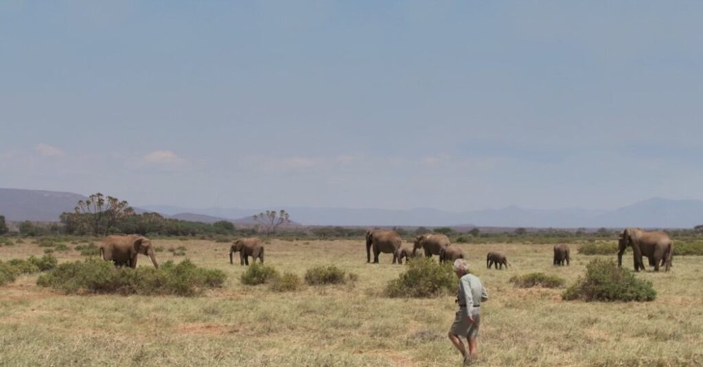 Iain Douglas-Hamilton, Elephant Expert and Protector, Dies