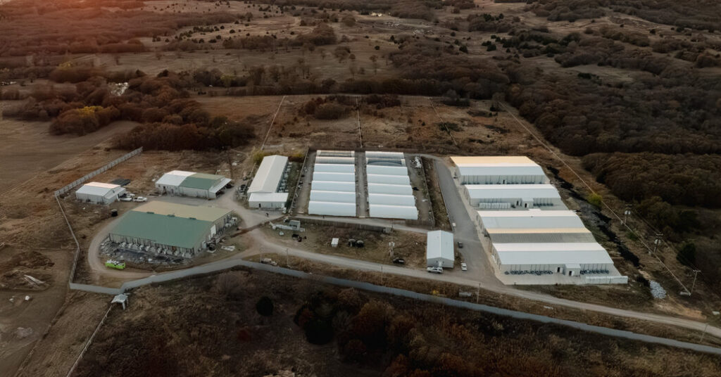 Behind Oklahoma Cannabis Farms, New Yorkers With Ties to Beijing