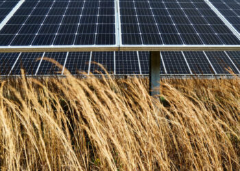 This Arkansas City Shows How to Slash Emissions and Save Money, Too