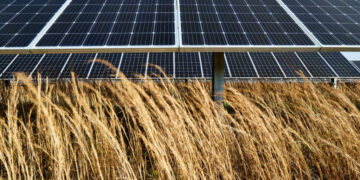 This Arkansas City Shows How to Slash Emissions and Save Money, Too