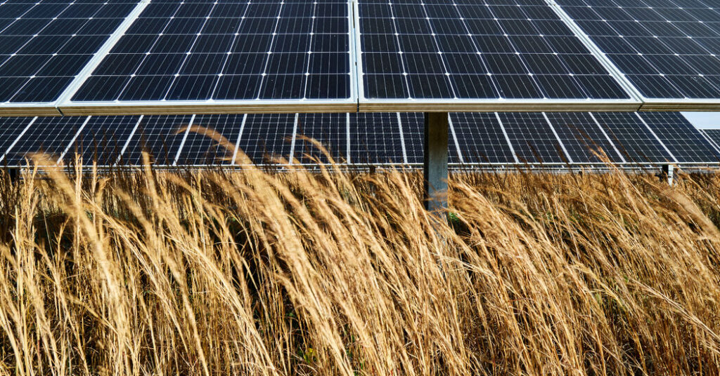 This Arkansas City Shows How to Slash Emissions and Save Money, Too