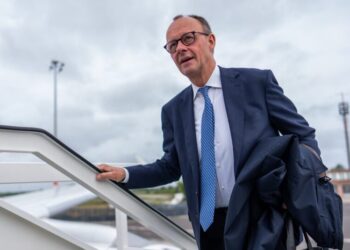 The Turbulent Times of Friedrich Merz