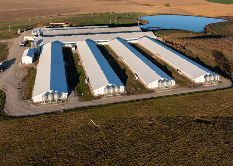 The Mysterious Death of a Teen at a Hog Farm