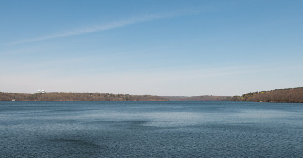 How New York Keeps Its Unfiltered Water Safe: Spending Millions on Land