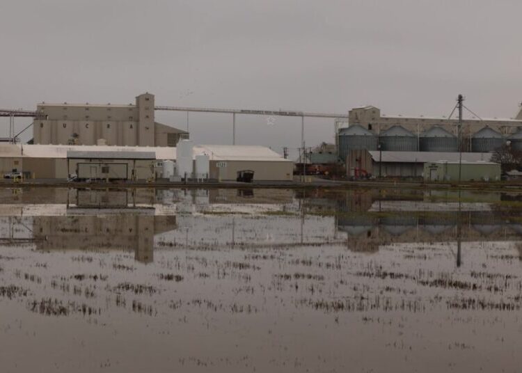 They Wanted a Conservative State. They Might Get a Democratic Representative Instead.