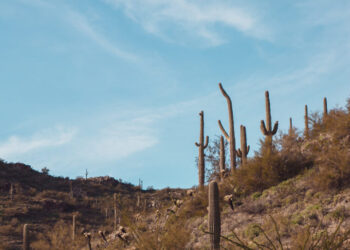 6 Winter Destinations for a Spirited, but Dry, January