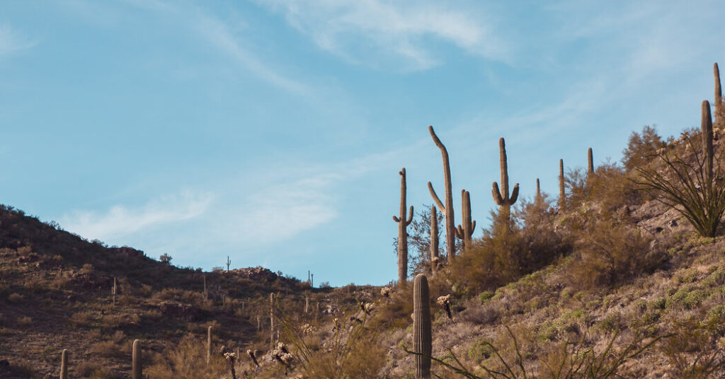 6 Winter Destinations for a Spirited, but Dry, January