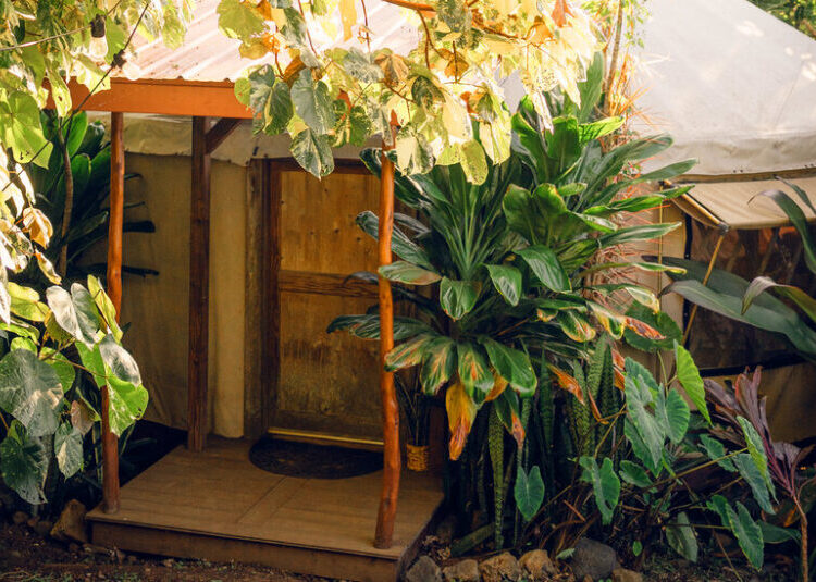 Saving Money and Getting Close to Nature on Hawaii’s Big Island