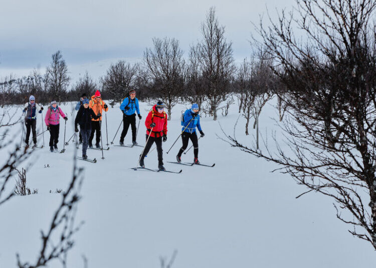 In Norway, Skiing Through a Winter Wonderland