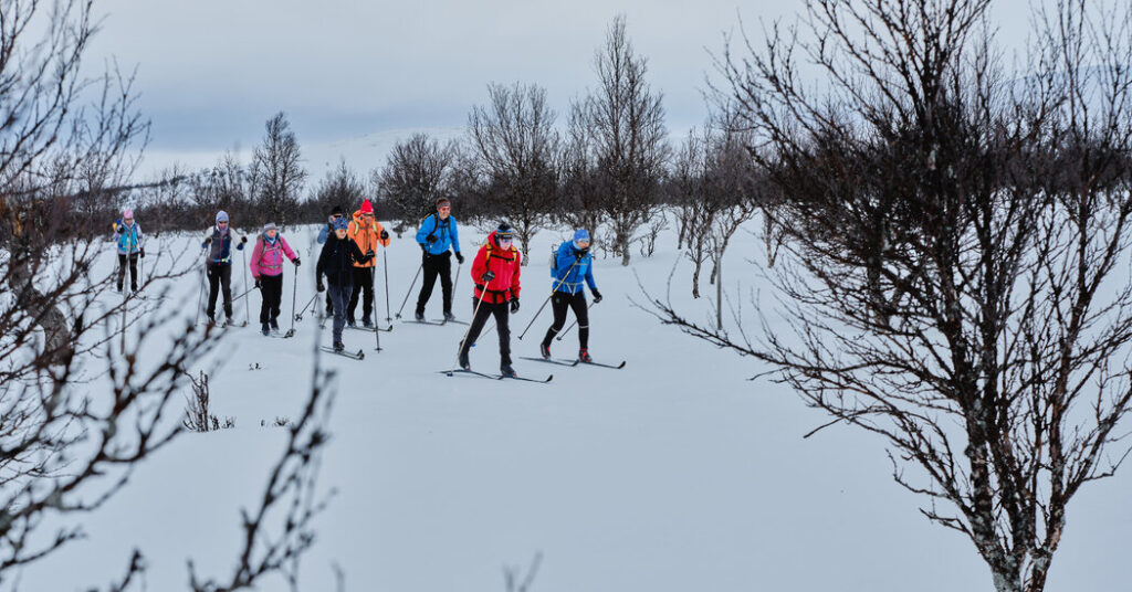In Norway, Skiing Through a Winter Wonderland