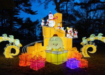 37 Things to Do in December