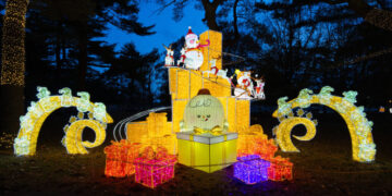 37 Things to Do in December