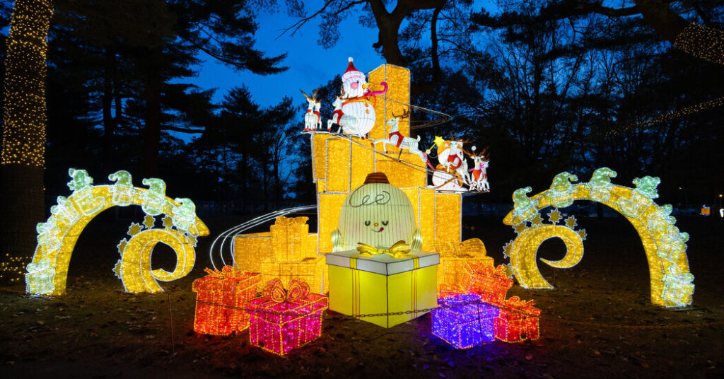 37 Things to Do in December