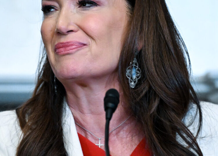 Agriculture Dept. Threatens to Withhold Food Stamps From Democratic States