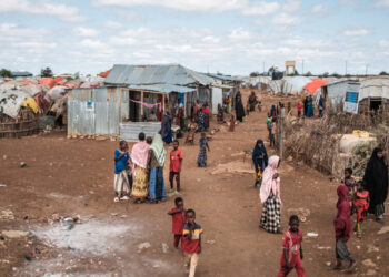 U.S. Pauses Immigration Applications From Nations on Travel Ban List