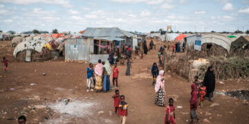 U.S. Pauses Immigration Applications From Nations on Travel Ban List