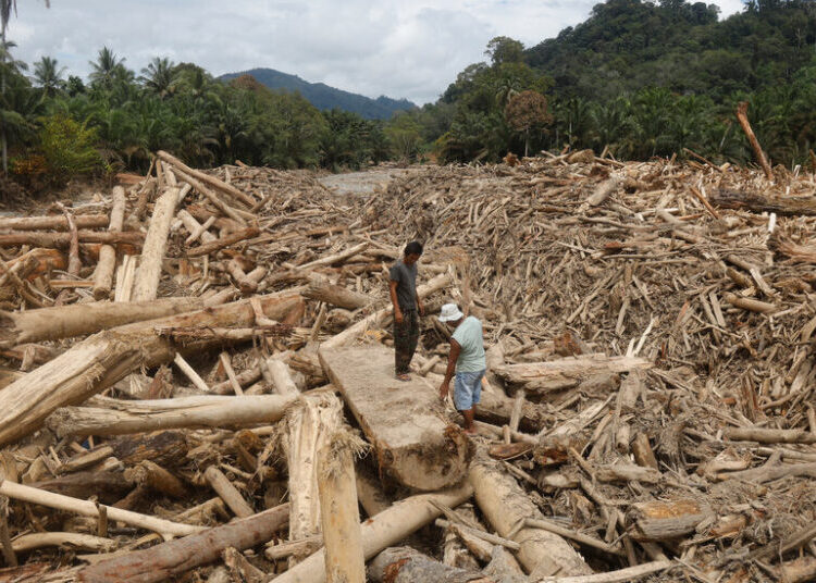 Where Floodwaters Turned Piles of Timber Into Floating Battering Rams