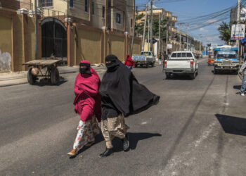 On Trump’s Insults, Somalia’s Prime Minister Says ‘It’s Better Not to Respond’