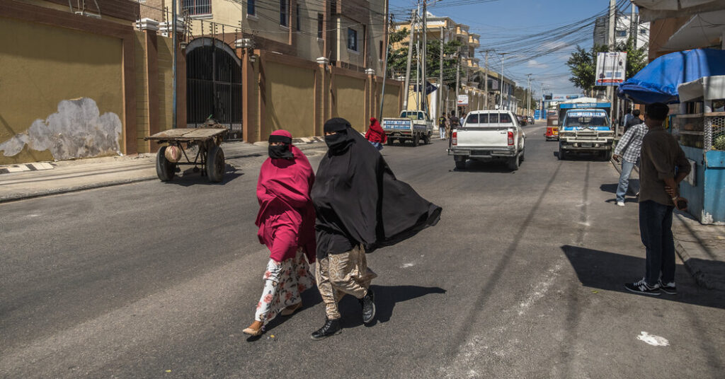 On Trump’s Insults, Somalia’s Prime Minister Says ‘It’s Better Not to Respond’