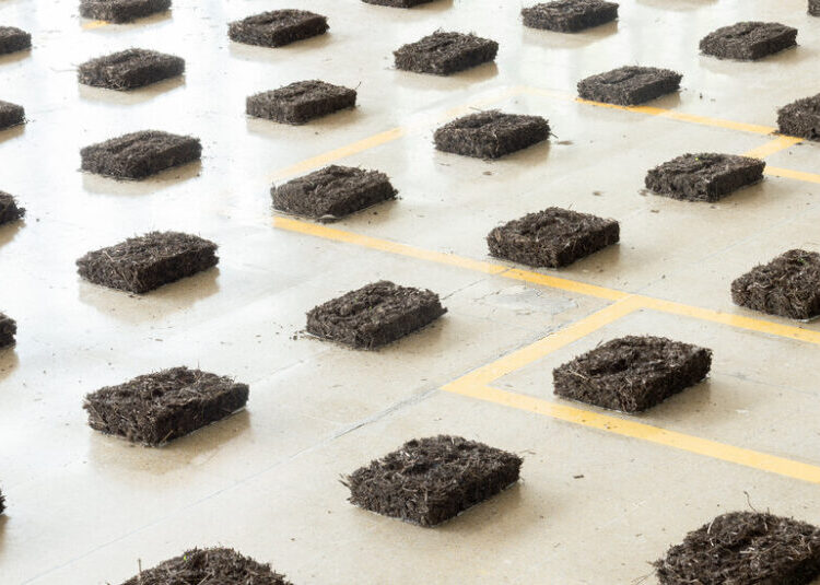 Hard-to-Define Artists Will Help Define This Year’s Untitled Art Fair