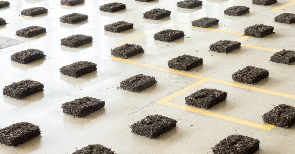 Hard-to-Define Artists Will Help Define This Year’s Untitled Art Fair