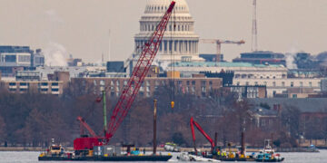 U.S. Government Admits Liability in Deadly D.C.-Area Air Collision