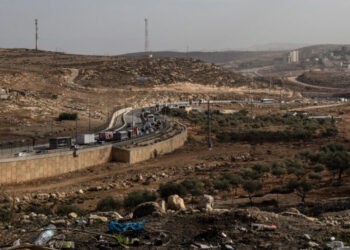 ‘This Is Illegal,’ He Said, Spreading His Arms. ‘This Is Illegal.’