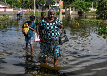 Ruined Rice Fields and Broken Rail Lines: Sri Lanka Counts Cost of Cyclone